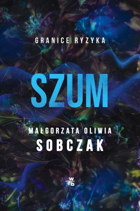Granice ryzyka. Szum