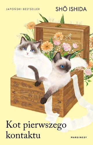 Kot pierwszego kontaktu