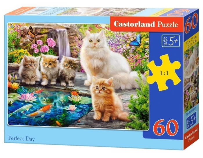 Puzzle 60 Perfect Day CASTOR