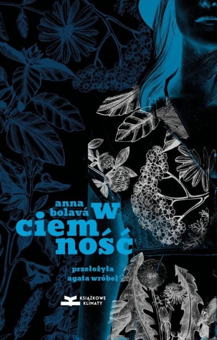 W ciemność