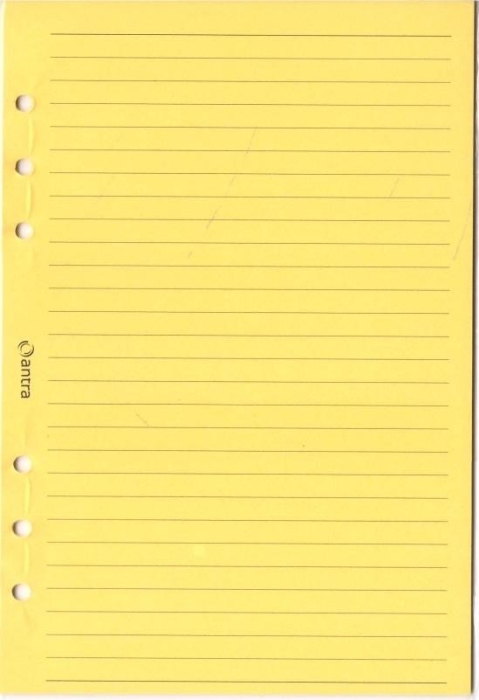 Wkład do organizera A5 linia żółta