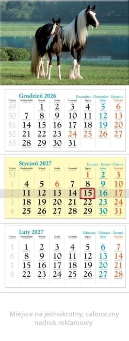 Kalendarz 2027 trójdzielny Koniki