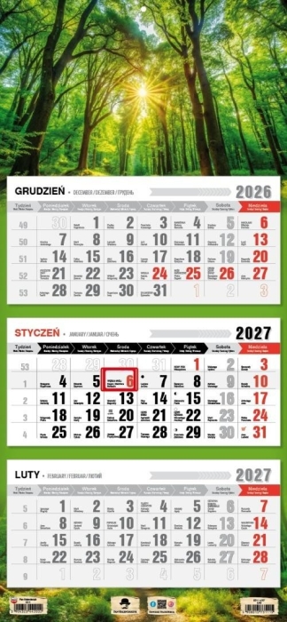 Kalendarz 2027 trójdzielny Las