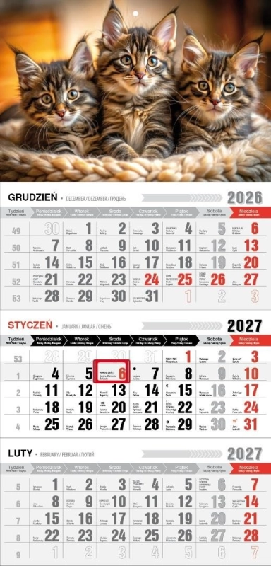 Kalendarz 2027 trójdzielny z magnesem kotki
