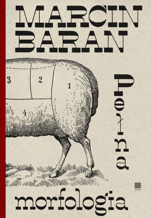 cover:platon
