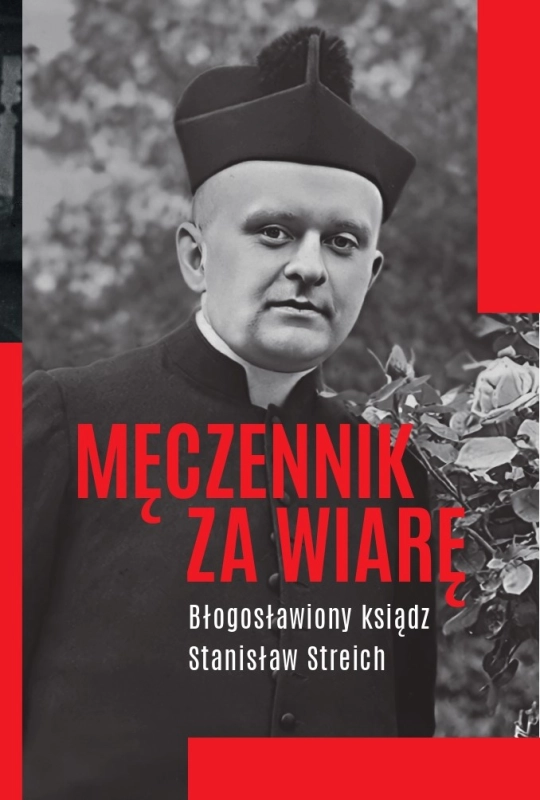cover:platon