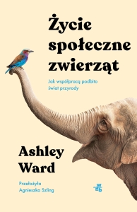 cover:platon