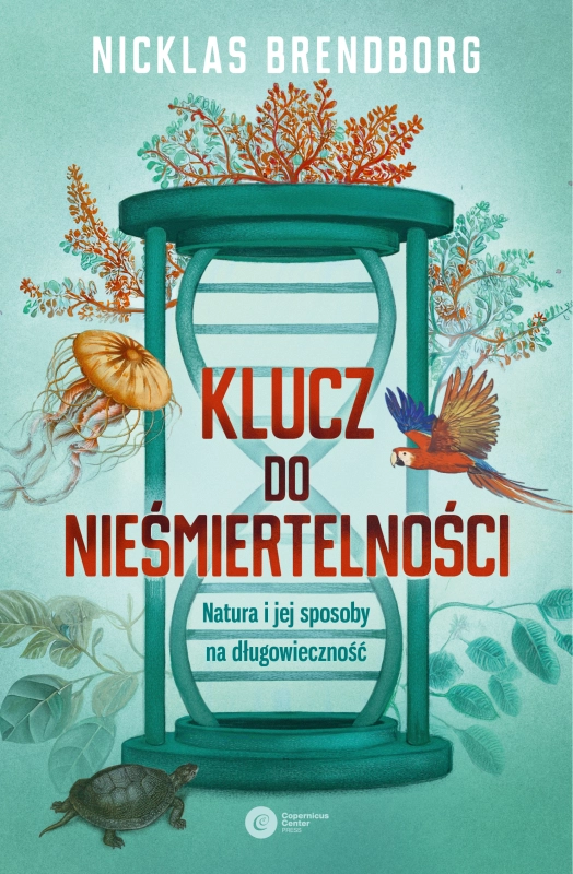 cover:platon