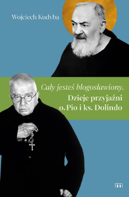cover:platon