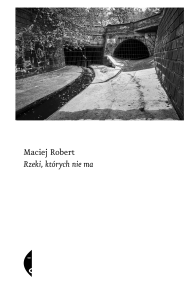 cover:platon