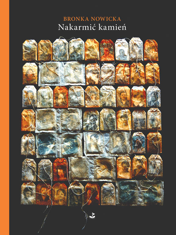 cover:platon