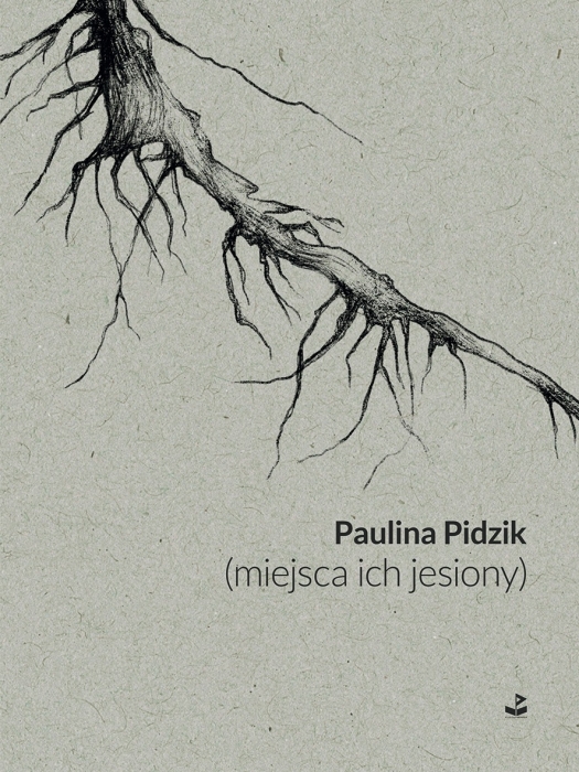 cover:platon