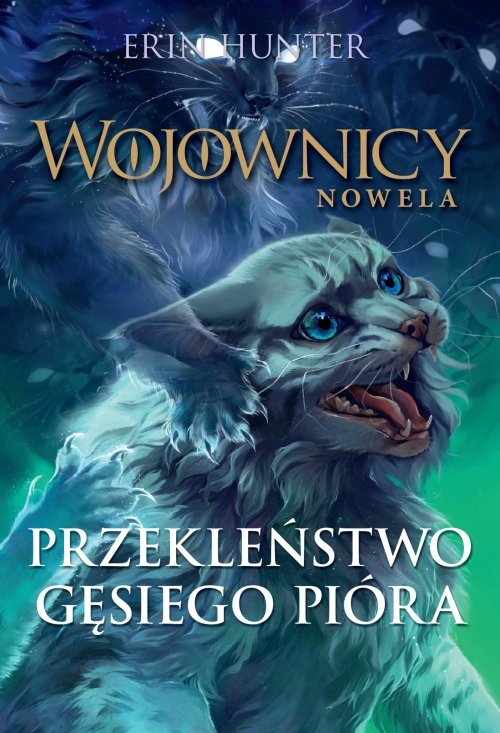 cover:platon