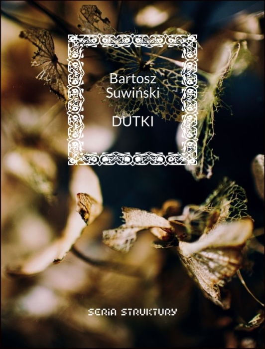 cover:platon