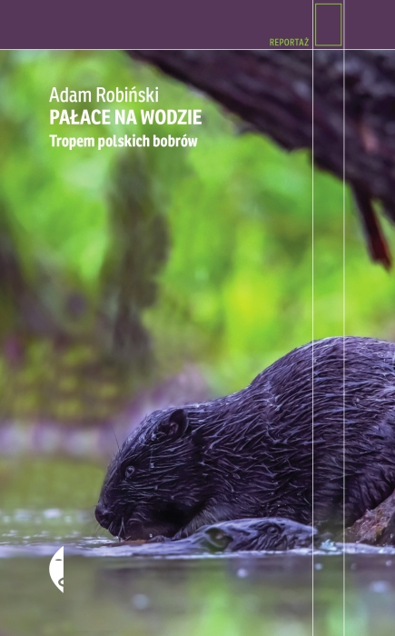 cover:platon