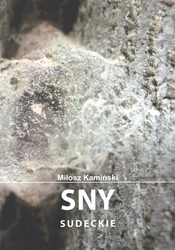 cover:platon
