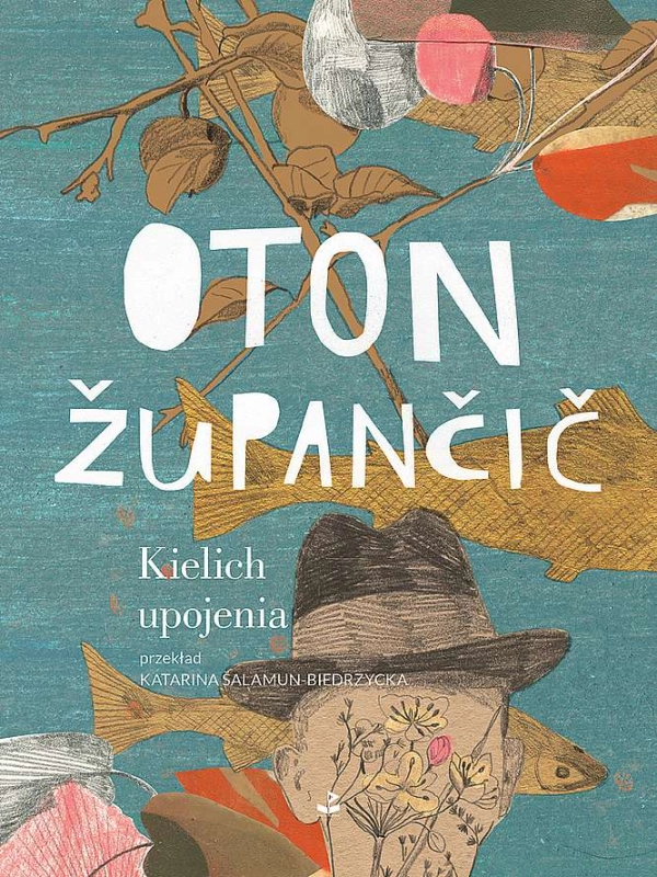 cover:platon