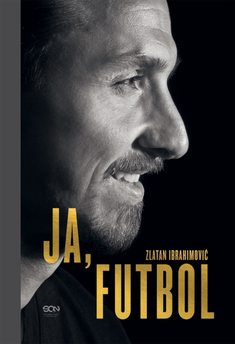 cover:platon