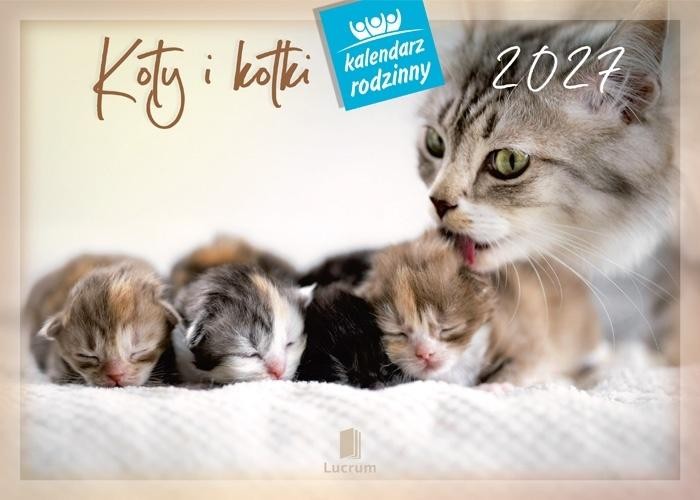 Kalendarz 2027 rodzinny Koty i kotki