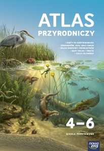 cover:platon