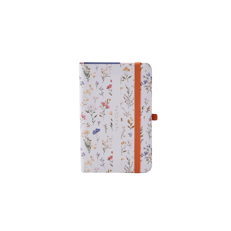 cover:platon