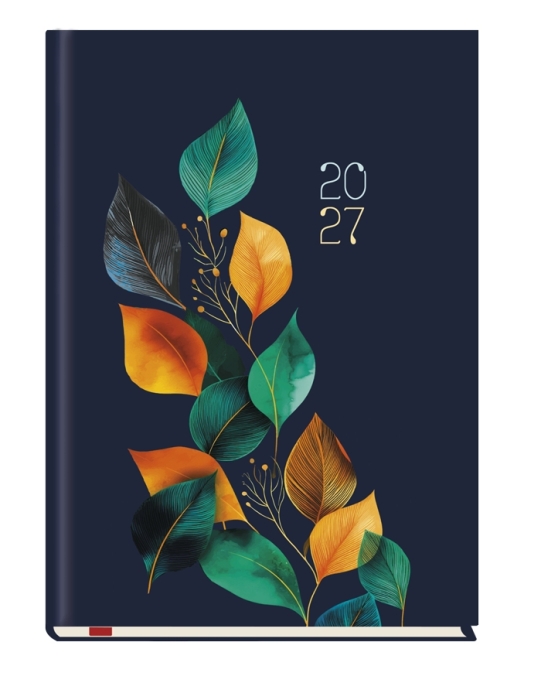 cover:platon
