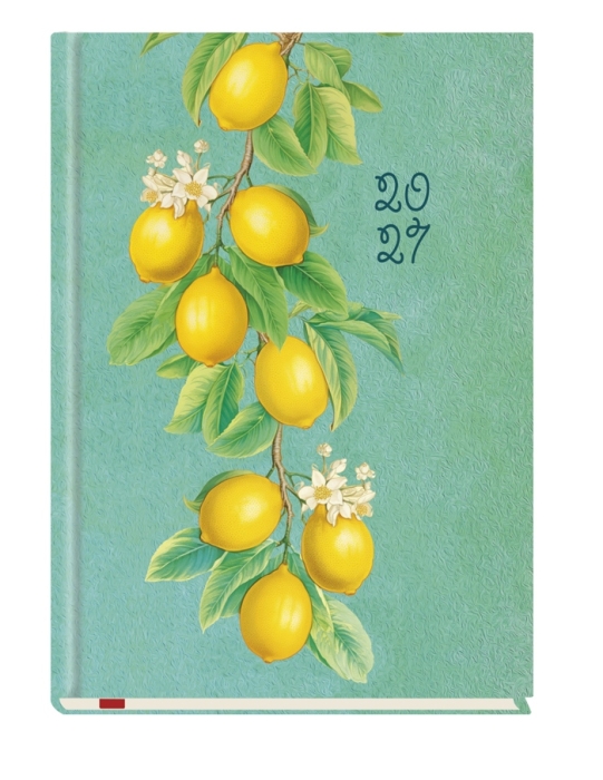 cover:platon