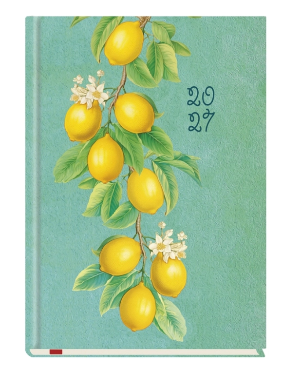 cover:platon