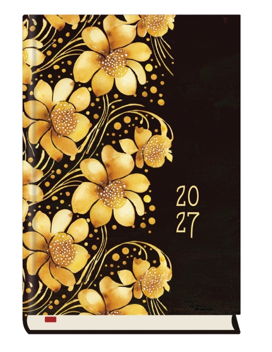 cover:platon