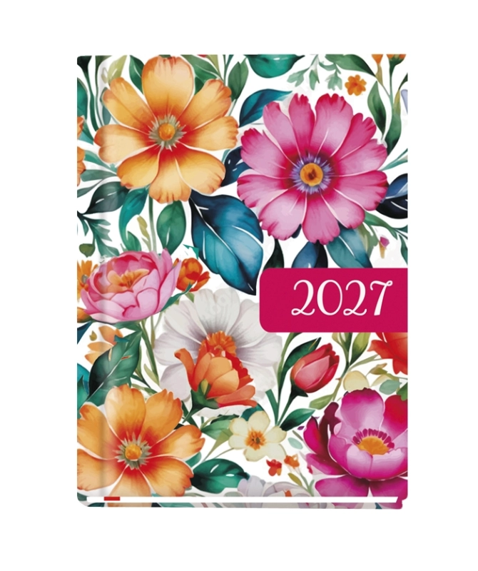 cover:platon