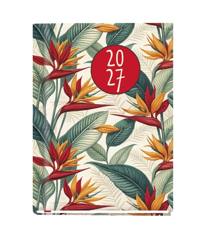 cover:platon
