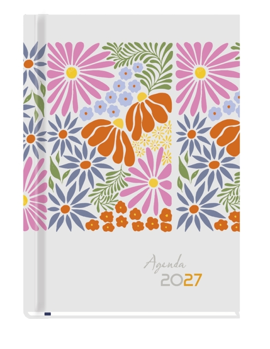 cover:platon