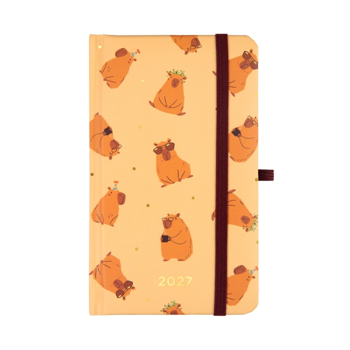cover:platon