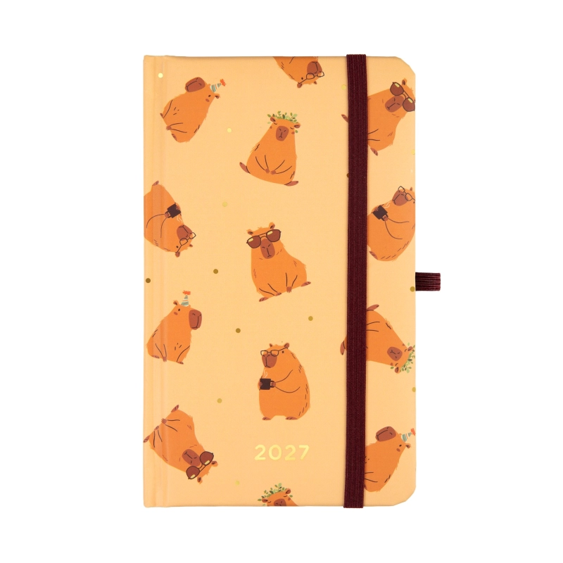 cover:platon