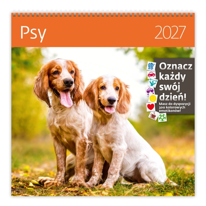 cover:platon