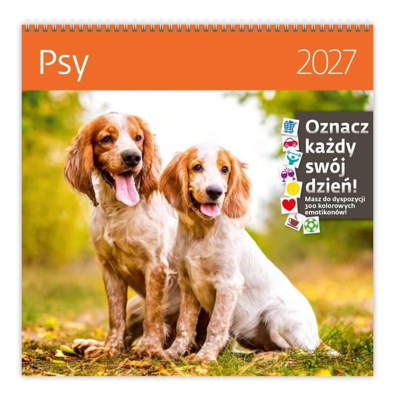 cover:platon