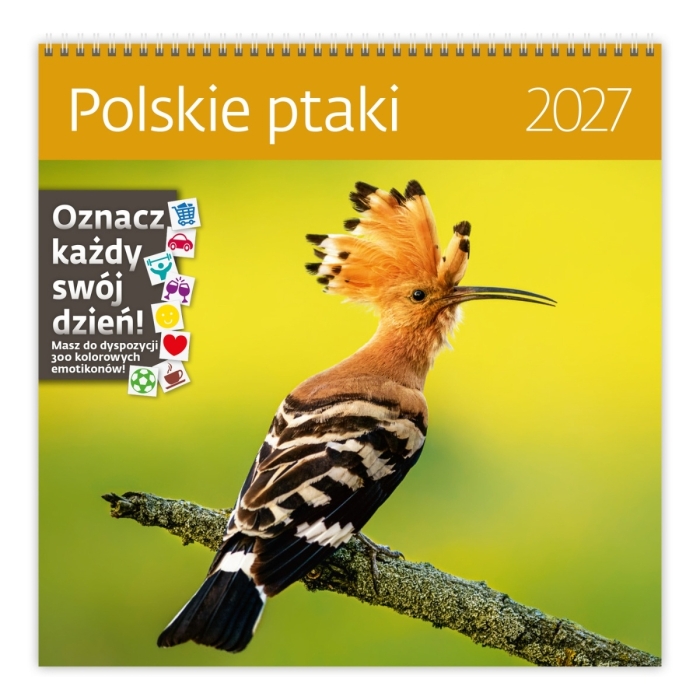 cover:platon