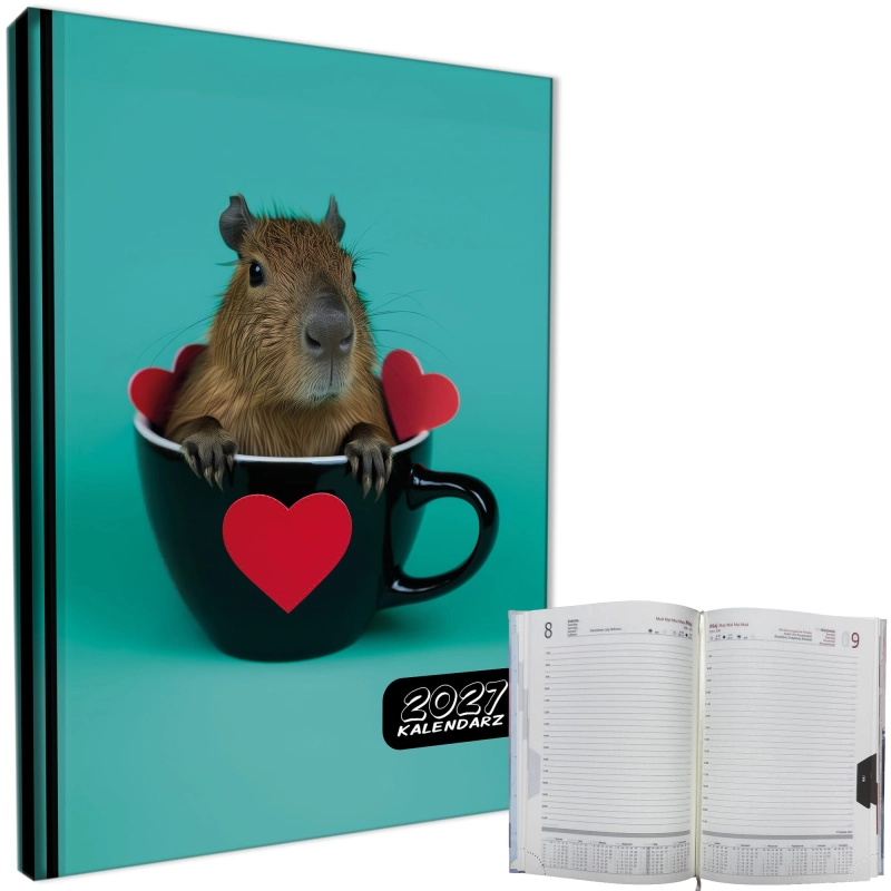 cover:platon