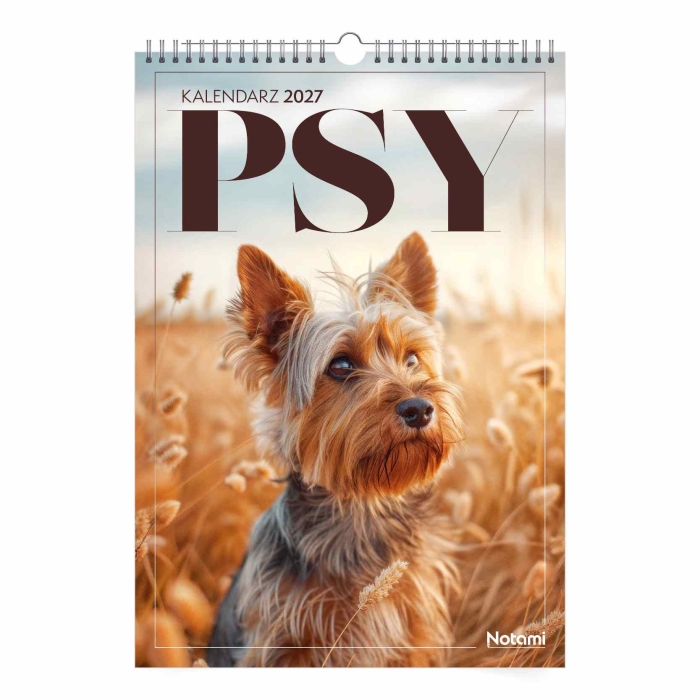 cover:platon