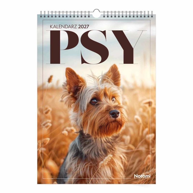 cover:platon