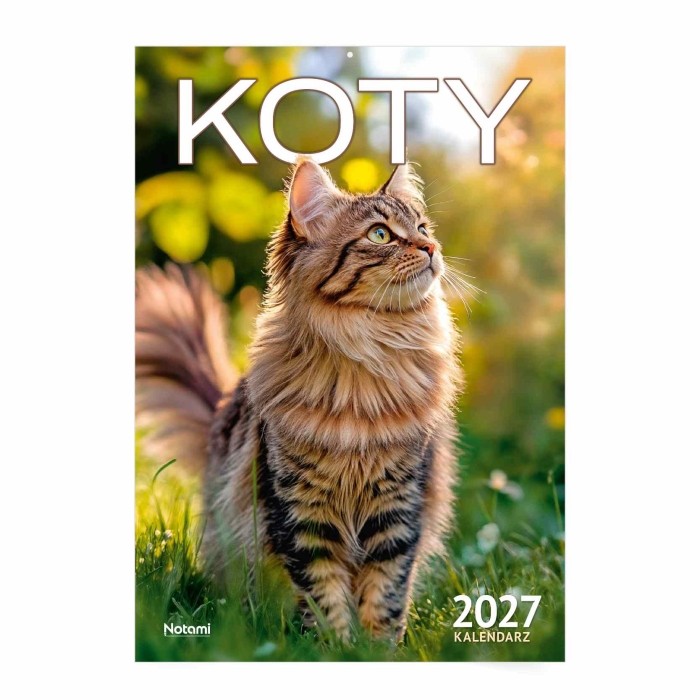 cover:platon
