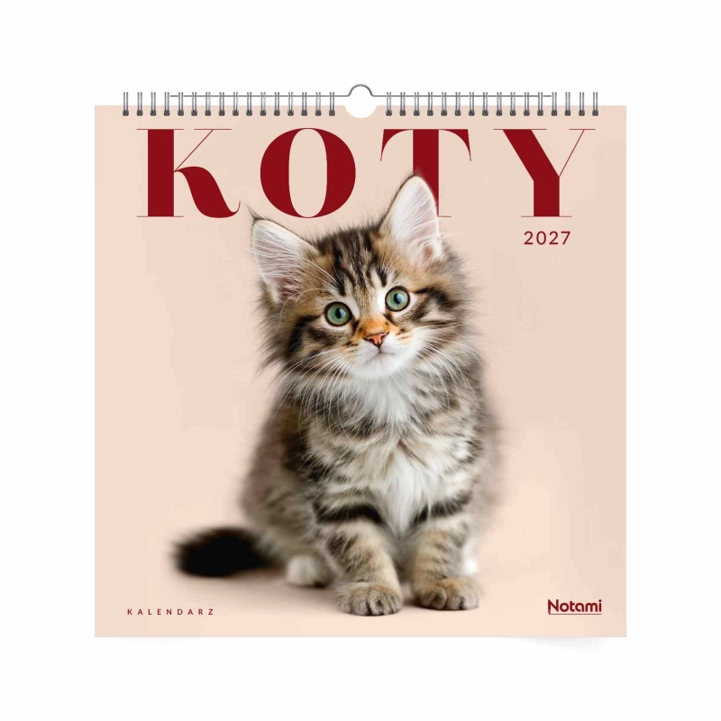 cover:platon
