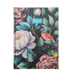 cover:ateneum