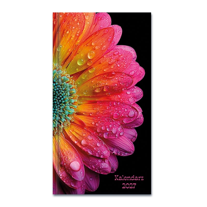 cover:platon
