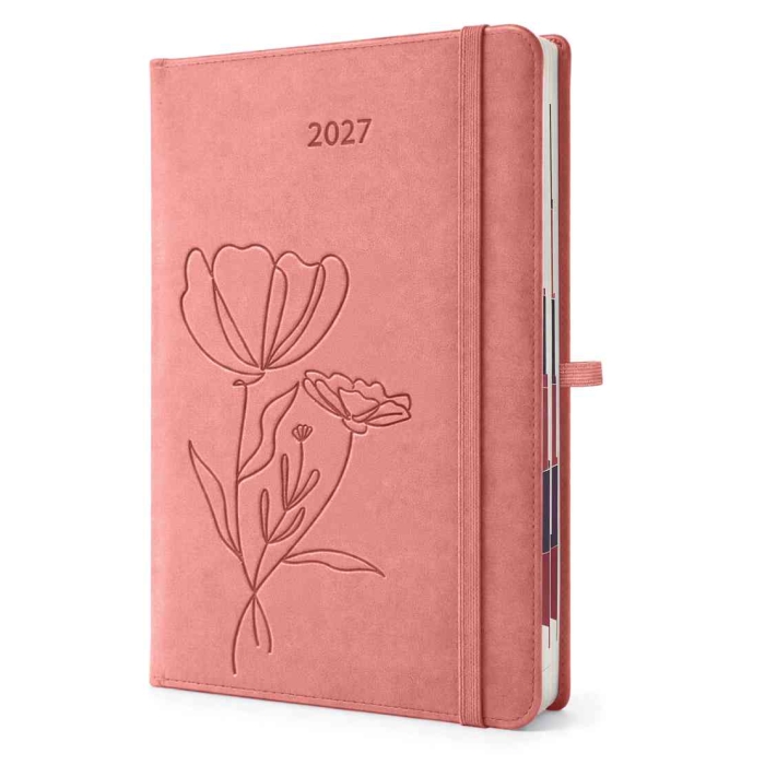 cover:platon