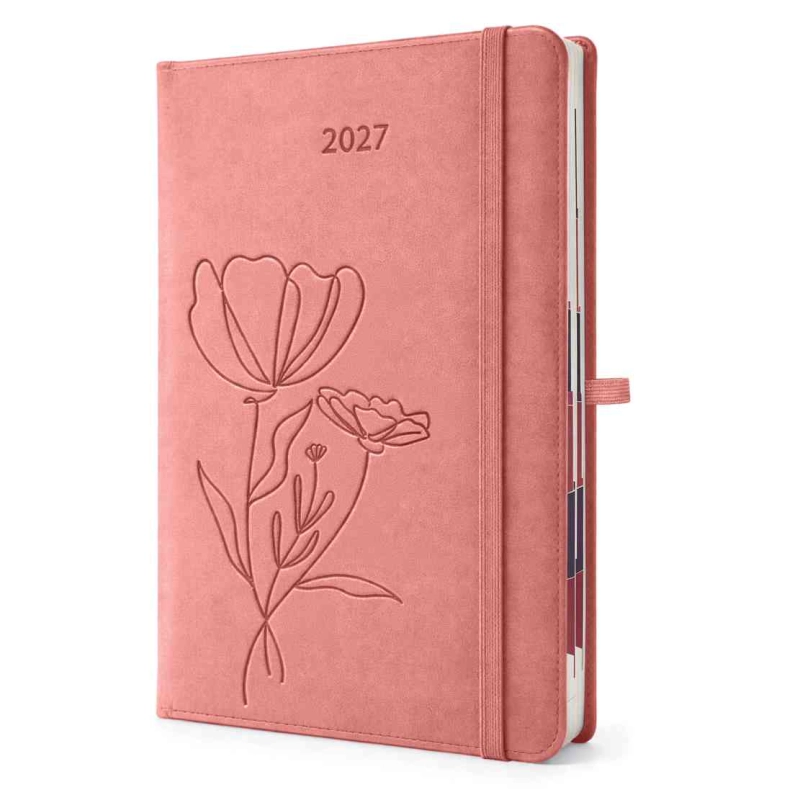 cover:platon