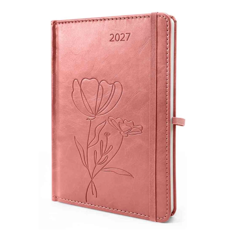 cover:platon