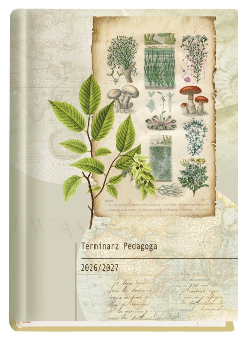 cover:platon