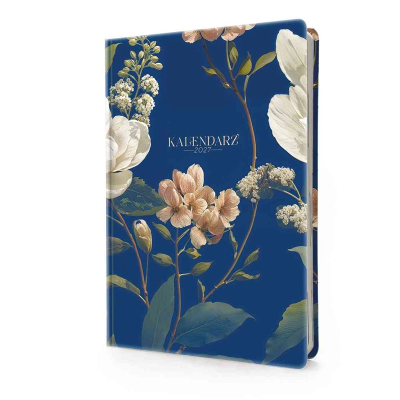 cover:platon