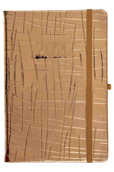 cover:platon